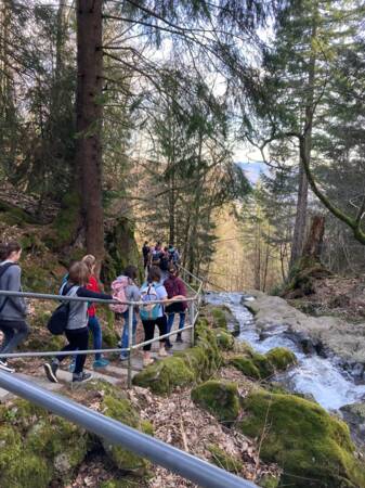 Die Mädchengruppe beim Wandern durch einen Wald mit Fluss.