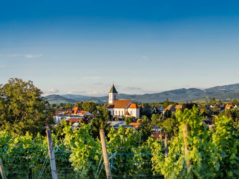 Panorama von Heitersheim mit Kirche St. Bartholomäus und Malteserschloss im Hintergrund.