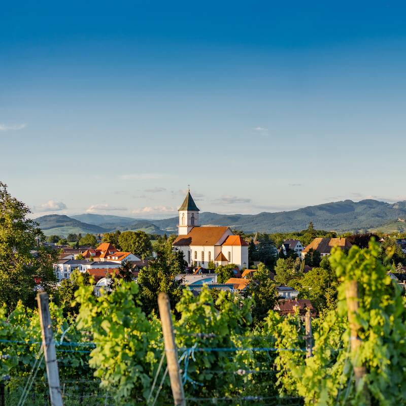 Panorama von Heitersheim mit Kirche St. Bartholomäus und Malteserschloss im Hintergrund.