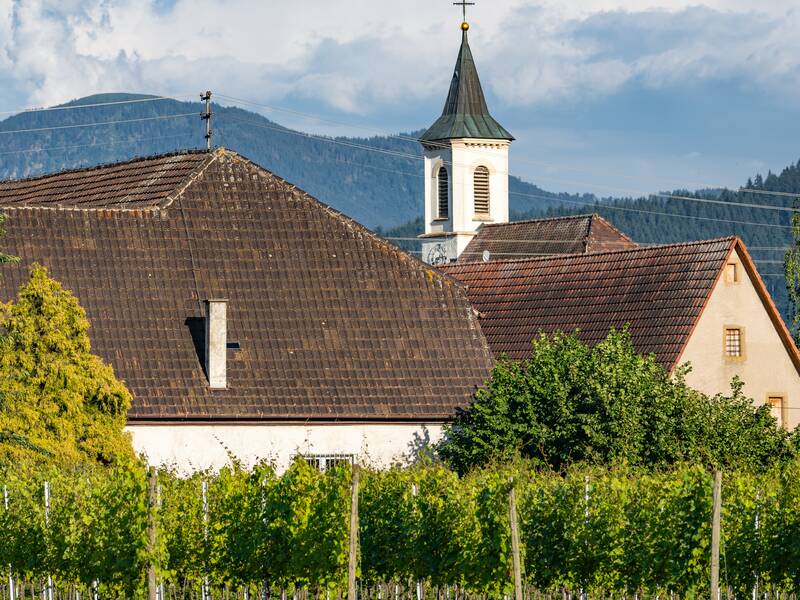 Die Kirche von Gallenweiler vorm Schwarzwaldpanorama.