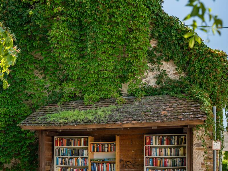 Ein öffentliches Bücherregal in idyllischer Lage.