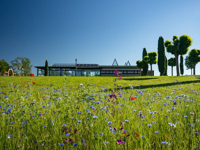 Der frühlingshafte Römerpark mit der Villa urbana im Hintergrund.